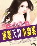 黑色帝宠：索吻天价小蛮妻 作者：安缨