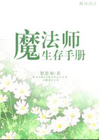 《魔法师生存手册》