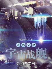 开局交易宇宙战舰 作者：锈迹符文