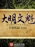 大明文魁 作者：幸福来敲门