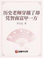 历史老师穿越了却凭智商富甲一方 作者：至小安