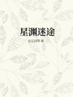 星渊迷途 作者：薄瓜西荷