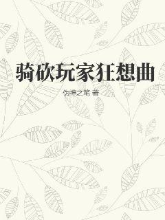 《骑砍玩家狂想曲》