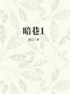 暗巷1 作者：莫白1