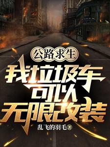 公路求生：我垃圾车可以无限改装 作者：乱飞的羽毛