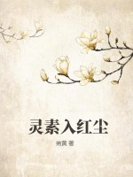 《灵素入红尘》