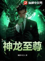 神龙至尊 作者：爆款小达人