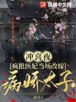 冲喜夜，疯批医妃当场改嫁病娇太子 作者：赢浅