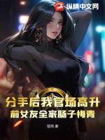 分手后我官场高升，前女友全家肠子悔青 作者：弦鸣