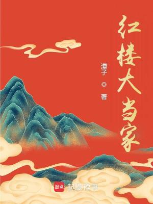 《红楼大当家》