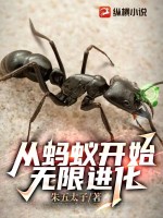 《从蚂蚁开始无限进化》