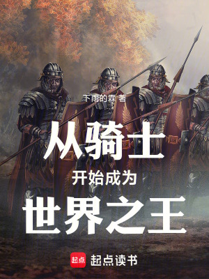 从骑士开始成为世界之王 作者：下雨的霖