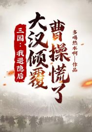 三国：我退隐后，大汉倾覆，曹操慌了 作者：多喝热水啊