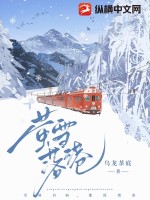 萤雪落港 作者：乌龙茶底