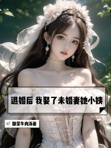 退婚后，我娶了未婚妻她小姨 作者：酸菜牛肉汤