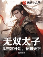 无双太子：从东宫开始，征服天下 作者：龙起华夏