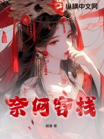 奈何客栈 作者：踏香