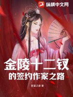 《金陵十二钗的签约作家之路》