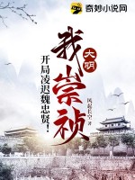 《大明：我崇祯，开局凌迟魏忠贤！》