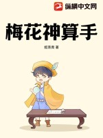 《梅花神算手》