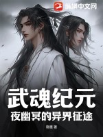 《武魂纪元：夜幽冥的异界征途》