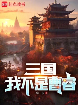 《三国：我不是曹睿》