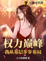 权力巅峰：我从基层步步布局 作者：小小的蜜蜂