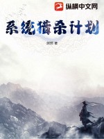 《系统猎杀计划》