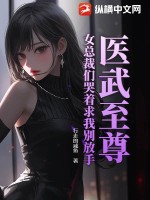 《医武至尊：女总裁们哭着求我别放手》