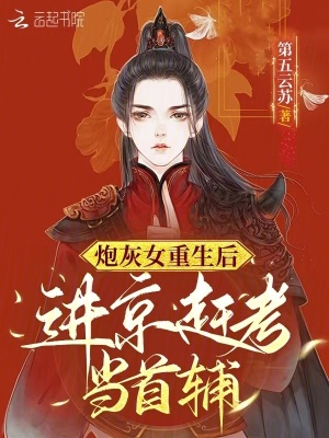 《炮灰女重生后进京赶考当首辅》