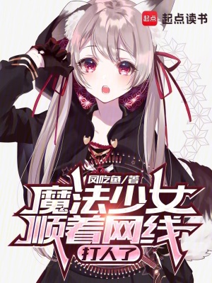 魔法少女顺着网线打人了 作者：凤吃鱼