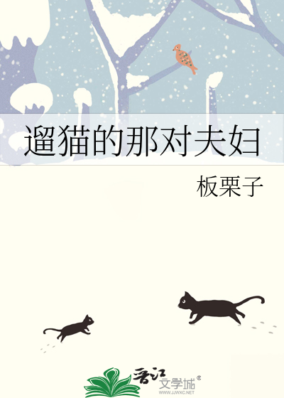 《遛猫的那对夫妇》