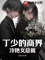 《丁少的商界冷艳女总裁》