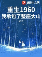 重生1960：我承包了整座大山 作者：几案