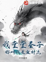 我堂堂圣子，你叫我走废材流？ 作者：宇文化稽