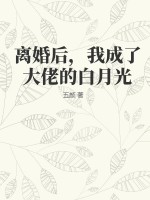 《离婚后，我成了大佬的白月光》