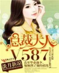 总裁大人，V587！ 作者：淡月新凉