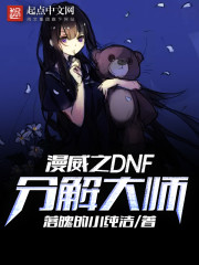 《漫威之DNF分解大师》